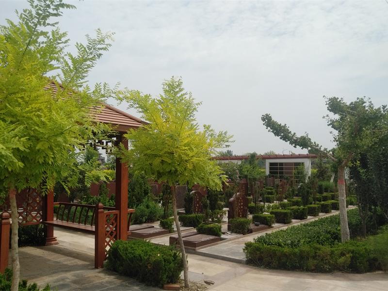 园区展示